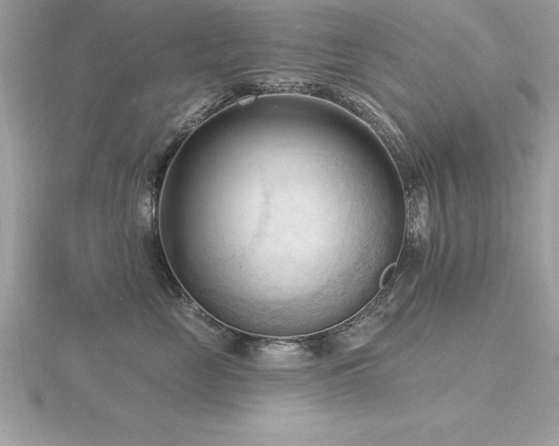 X0000116510669200912091450