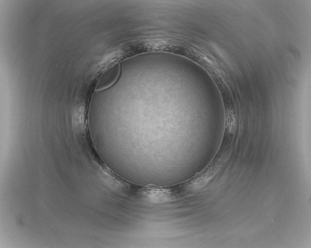 X0000116510670200912091450