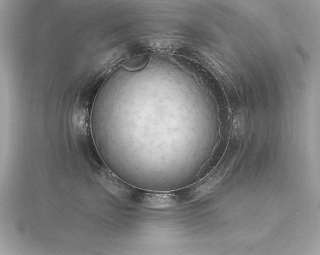 X0000116510671200912091450