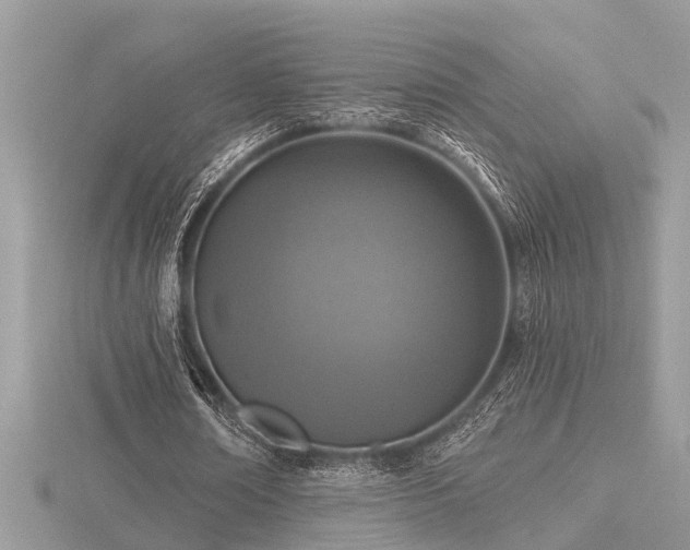 X0000116510674200912091449