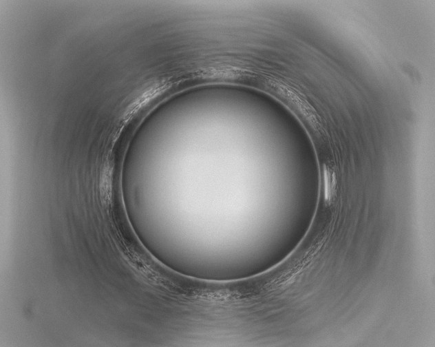X0000116510675200912091449