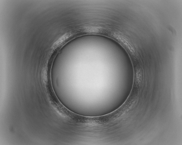 X0000116510682200912091449