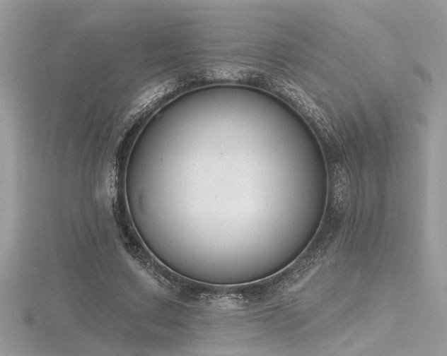 X0000116510683200912091449