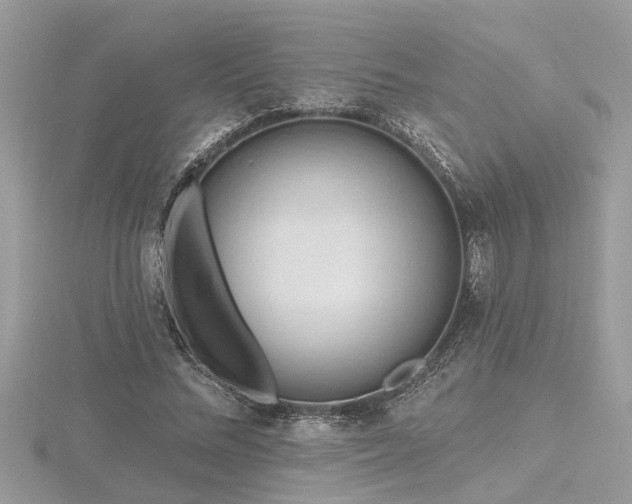 X0000116510684200912091449