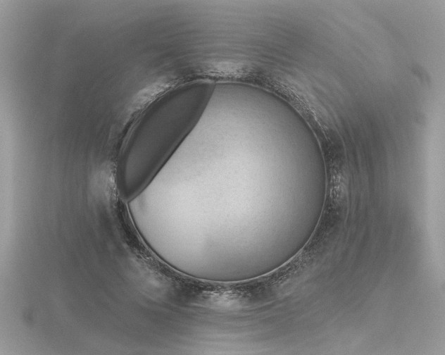 X0000116510688200912091449
