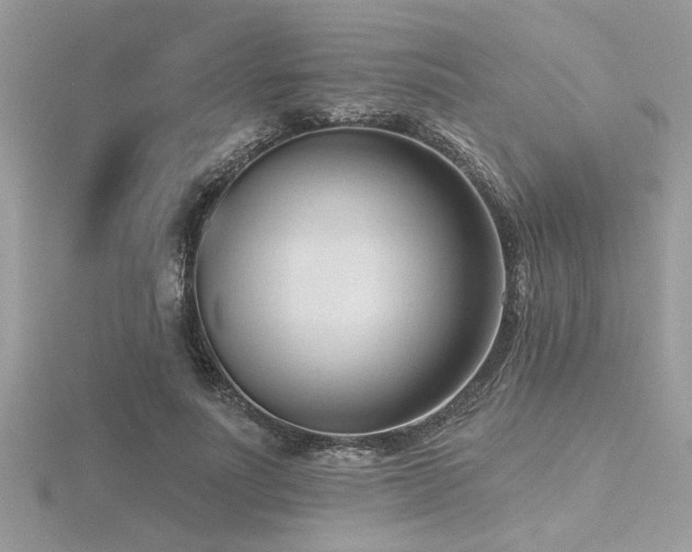 X0000116510691200912091449