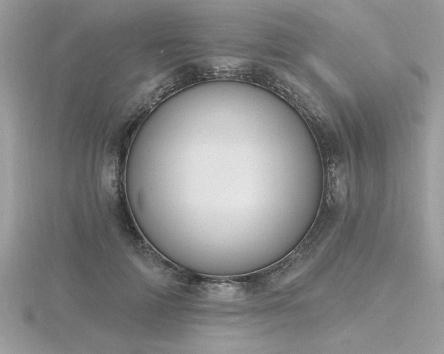 X0000116510698200912091449