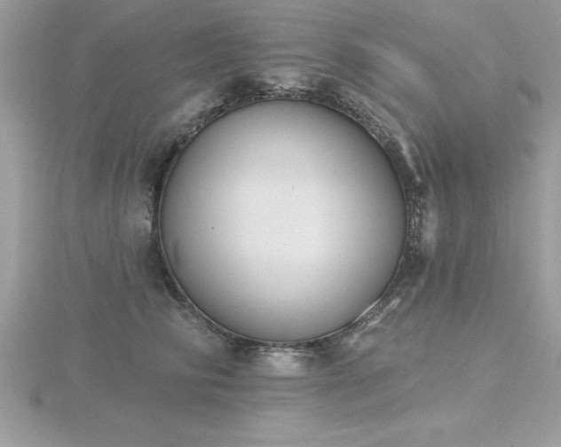 X0000116510710200912091449