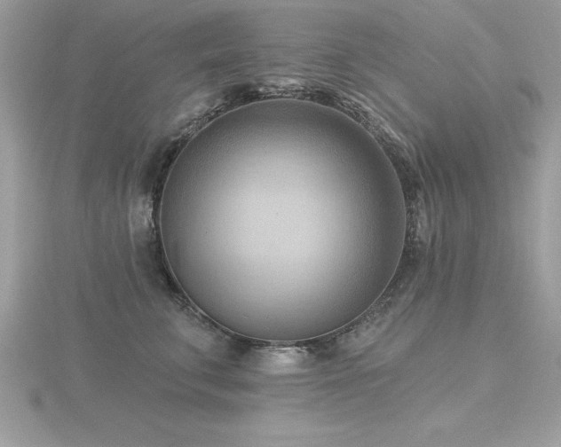 X0000116510711200912091449