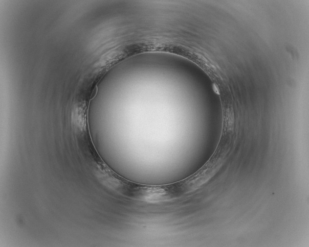X0000116510719200912091448