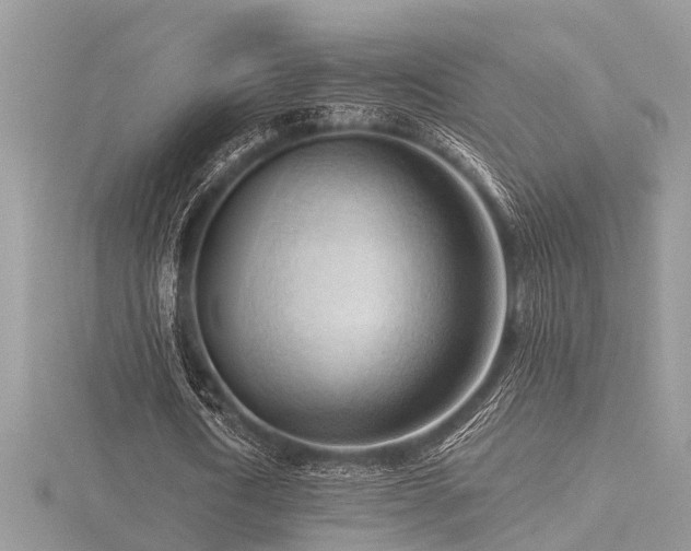 X0000116510722200912091448