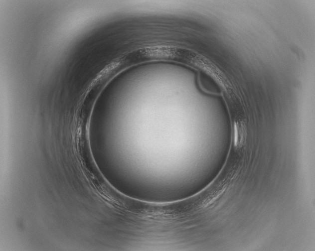 X0000116510723200912091448