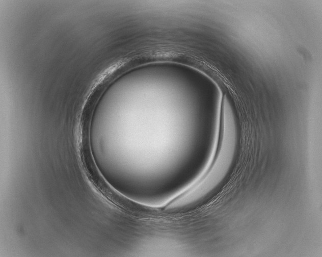 X0000116510726200912091448