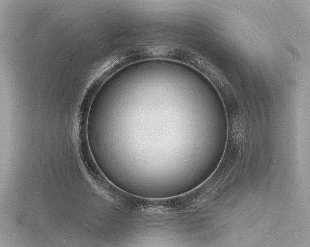 X0000116510730200912091448