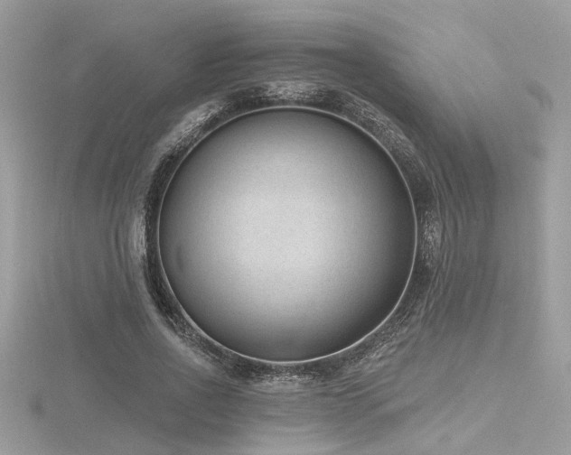 X0000116510734200912091448