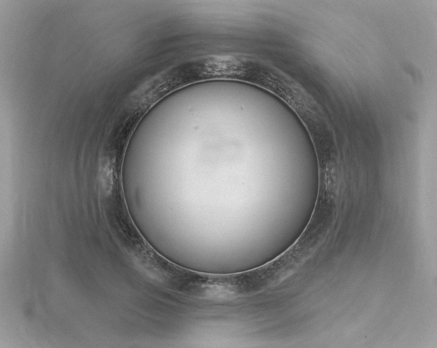 X0000116510741200912091448