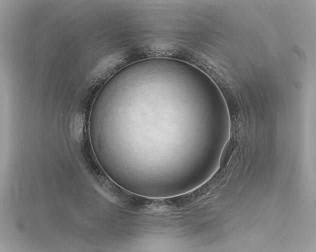 X0000116510742200912091448