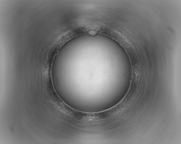 X0000116510745200912091448