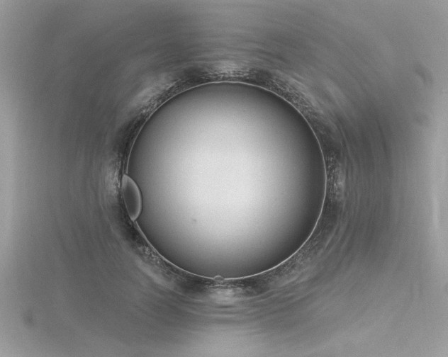 X0000116510746200912091448