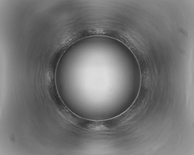 X0000116510747200912091448