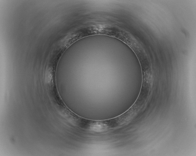 X0000116510754200912091448