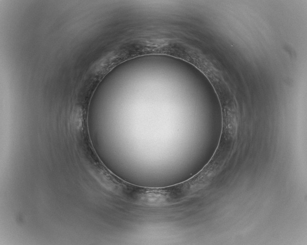 X0000116510758200912091448
