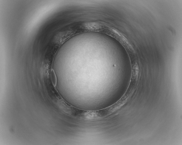 X0000116510762200912091448