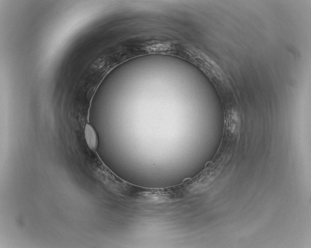 X0000116510763200912091448