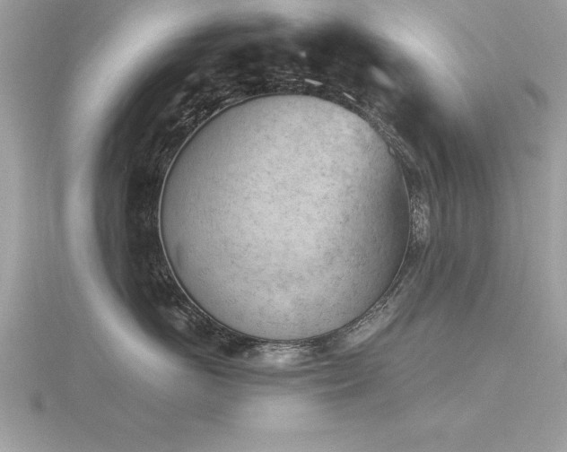 X0000116510766200912091448