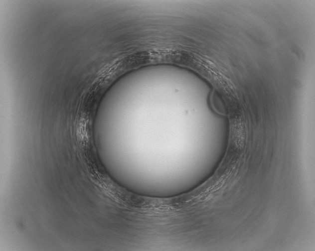 X0000116510770200912091448