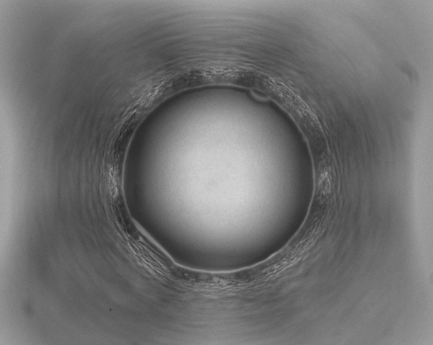 X0000116510772200912091448