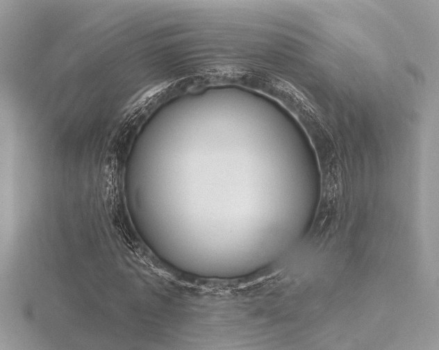 X0000116510773200912091448