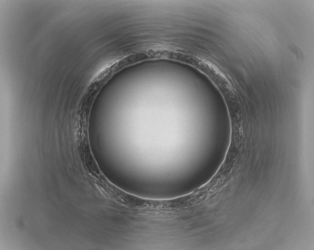 X0000116510775200912091448