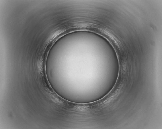 X0000116510778200912091448