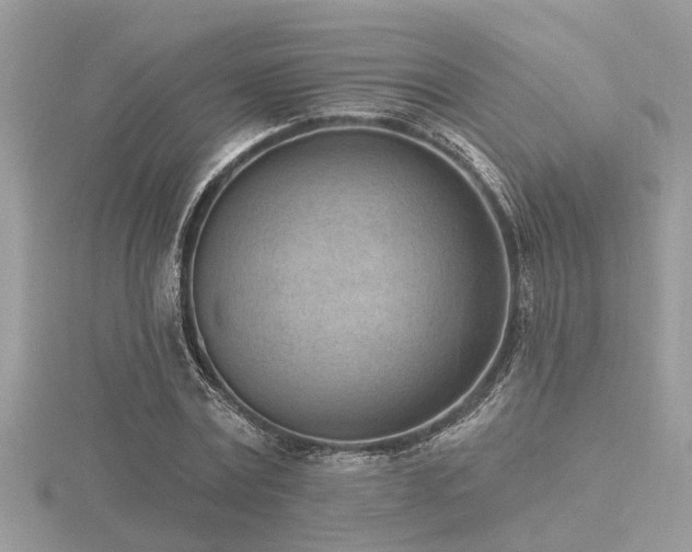 X0000116510779200912091448