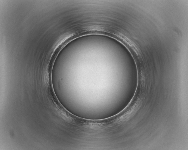 X0000116510782200912091447