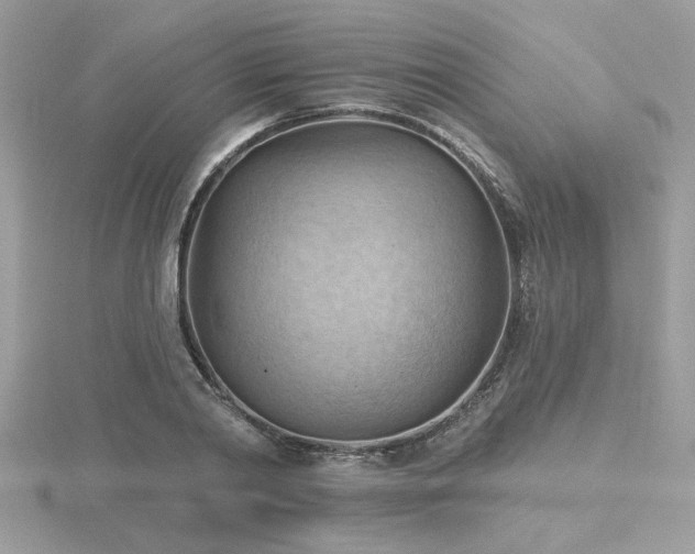 X0000116510790200912091447