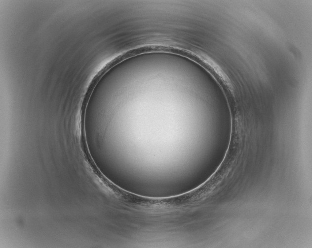 X0000116510791200912091447