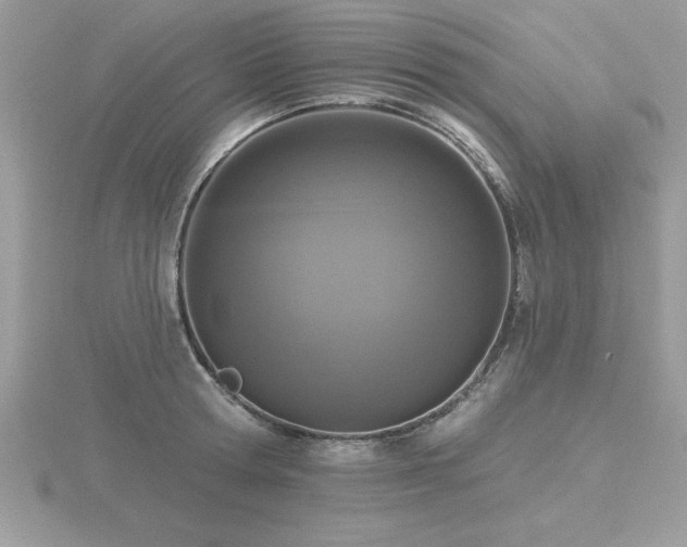 X0000116510802200912091447
