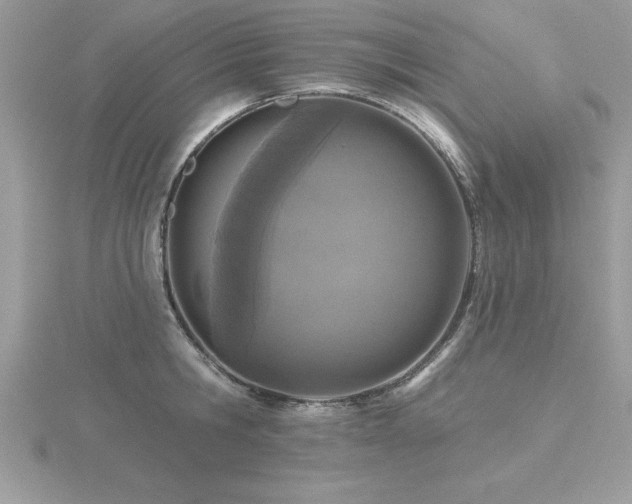 X0000116510806200912091447