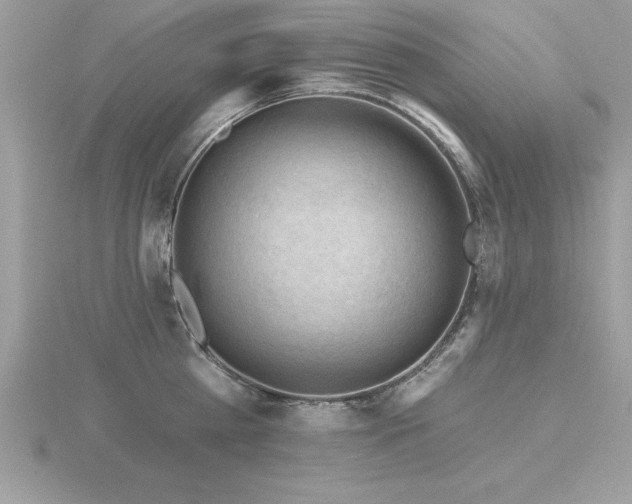 X0000116510809200912091447
