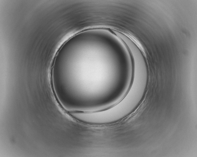 X0000116510813200912091447