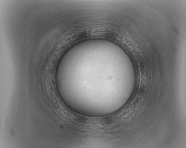 X0000116510817200912091446