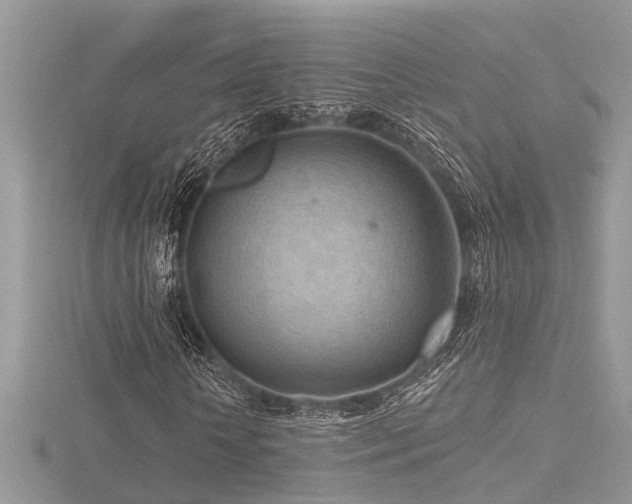 X0000116510818200912091446