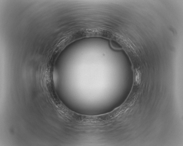 X0000116510819200912091446