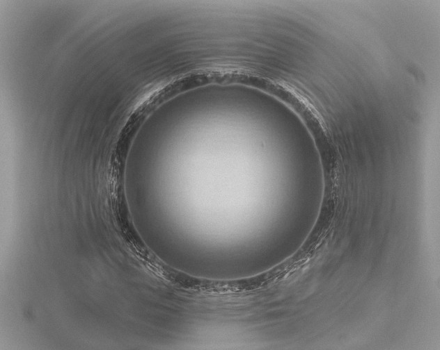 X0000116510823200912091446