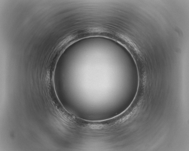 X0000116510825200912091447