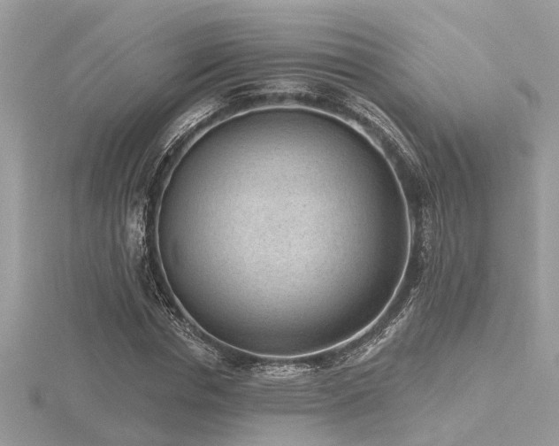X0000116510826200912091447