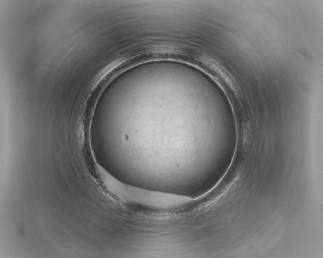 X0000116510829200912091447