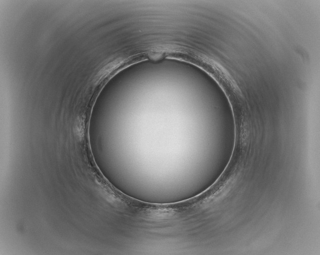 X0000116510833200912091447